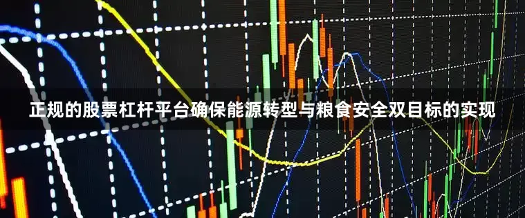 正规的股票杠杆平台确保能源转型与粮食安全双目标的实现