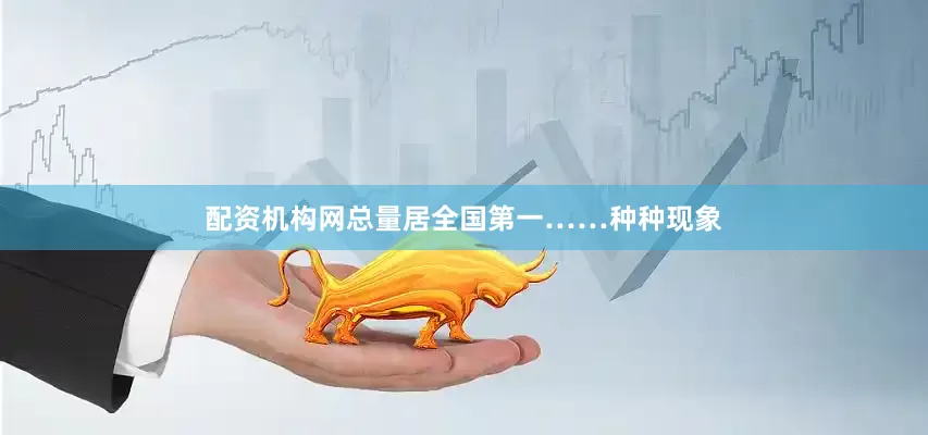 配资机构网总量居全国第一……种种现象